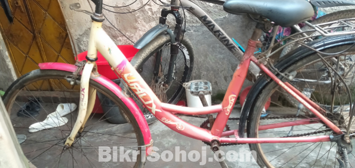 লেডিস সাইকেল